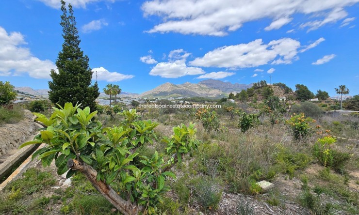Resale - Rural Land -
La Nucía - La Nucia Pueblo