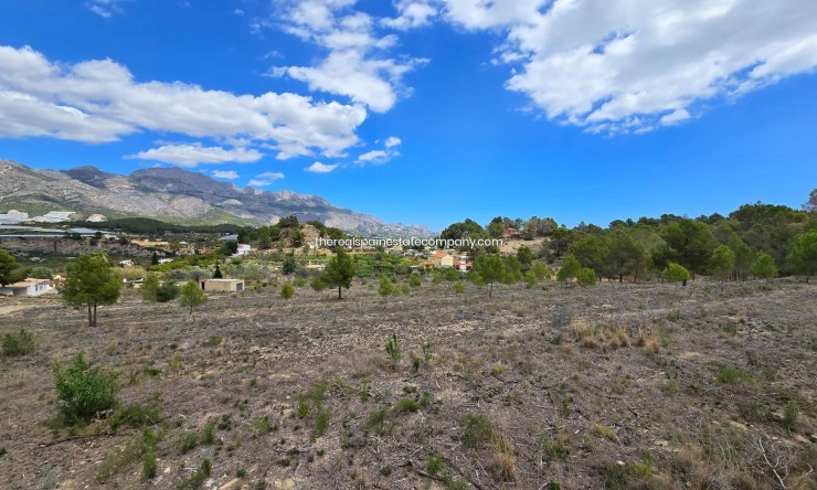 Resale - Rural Land -
La Nucía - La Nucia Pueblo