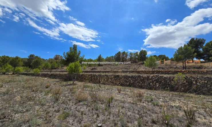 Resale - Rural Land -
La Nucía - La Nucia Pueblo
