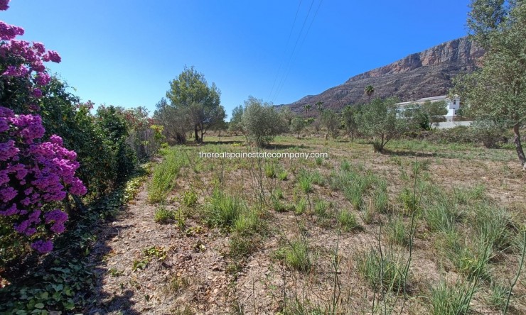 Reventa - Parcela -
Jávea / Xàbia - Montgó - Ermita