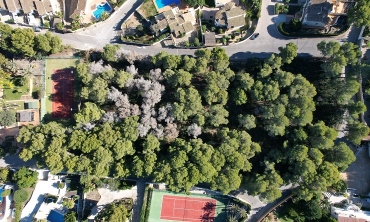 Revente - Terrain urbain -
Moraira - Pinar del Advocat - Cometa