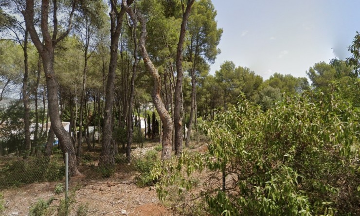 Revente - Terrain urbain -
Jávea / Xàbia - Partides comunes - Adsubia
