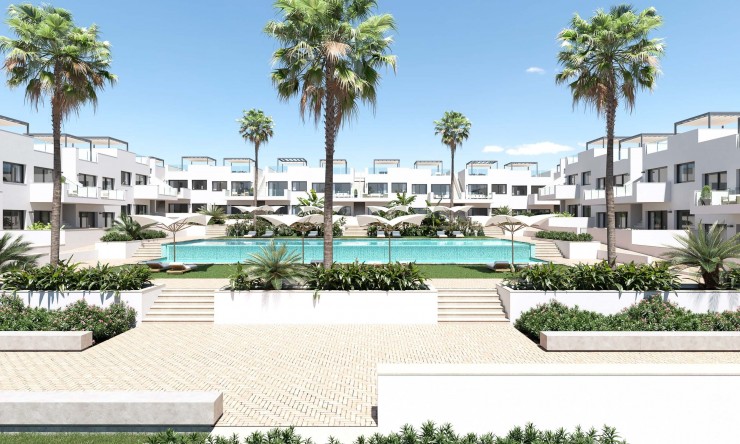 Neue Gebäude -  -
Torrevieja