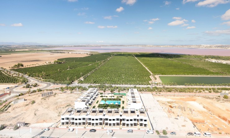 Neue Gebäude -  -
Torrevieja