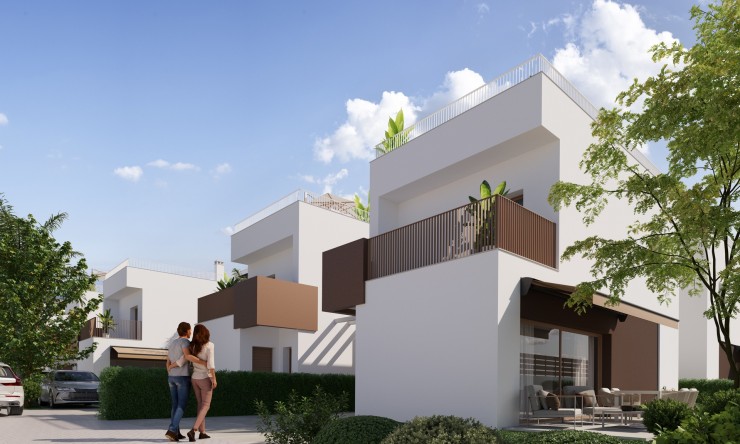 Neue Gebäude - Villa -
Elche