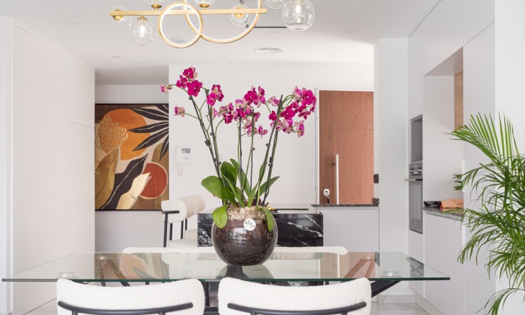 Nouvelle construction - Villa -
San Pedro del Pinatar