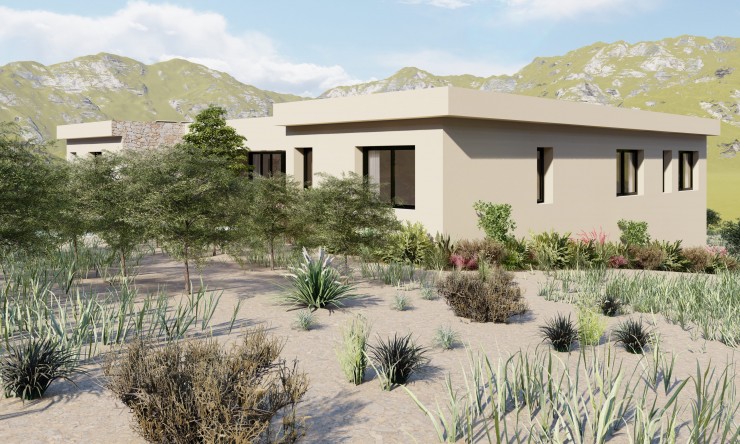 Nueva construcción  - Villa -
Yecla