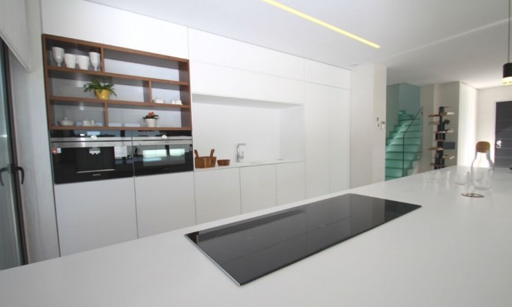 Nouvelle construction - Villa -
San Miguel de Salinas