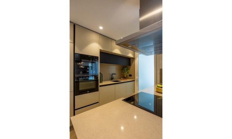 Nueva construcción  -  -
La Finca Golf