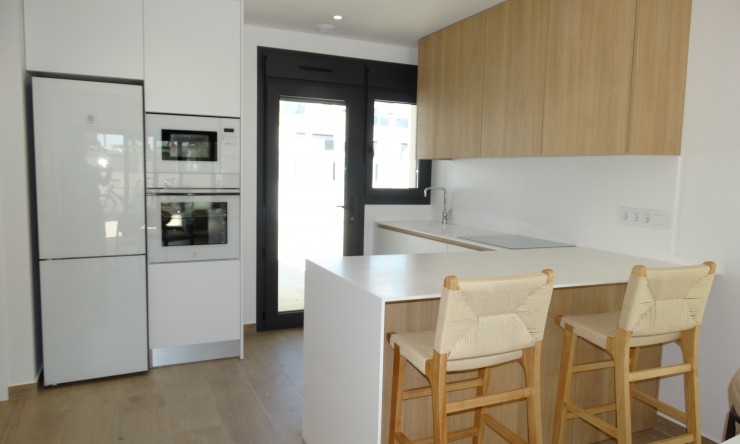 Nouvelle construction - Bungalow -
Pilar de la Horadada