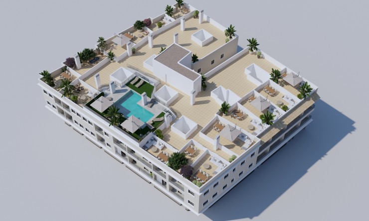 Neue Gebäude - Penthouse -
Algorfa