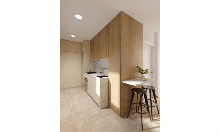 New Build - Apartment -
Santa Rosalia