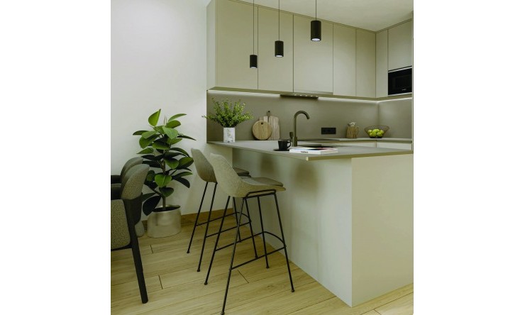 Neue Gebäude - Penthouse -
Torrevieja
