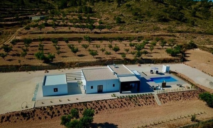 New Build - Villa -
La Canalosa
