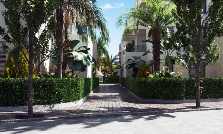 New Build - Penthouse -
Santa Rosalia