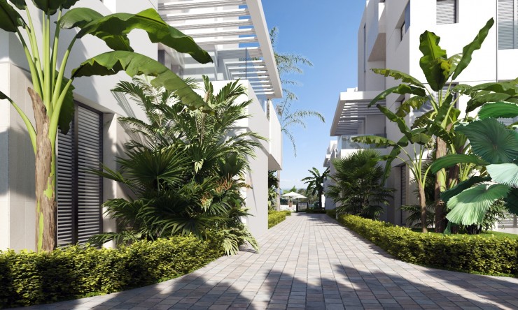 New Build - Penthouse -
Santa Rosalia
