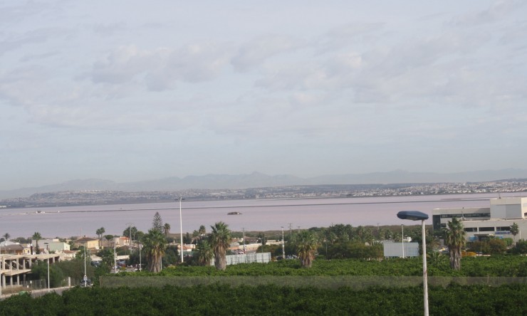 Nowe budownictwo - Bliźniak wolnostojący -
Torrevieja