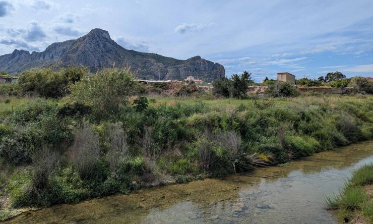 New Build - Villa -
El Vergel