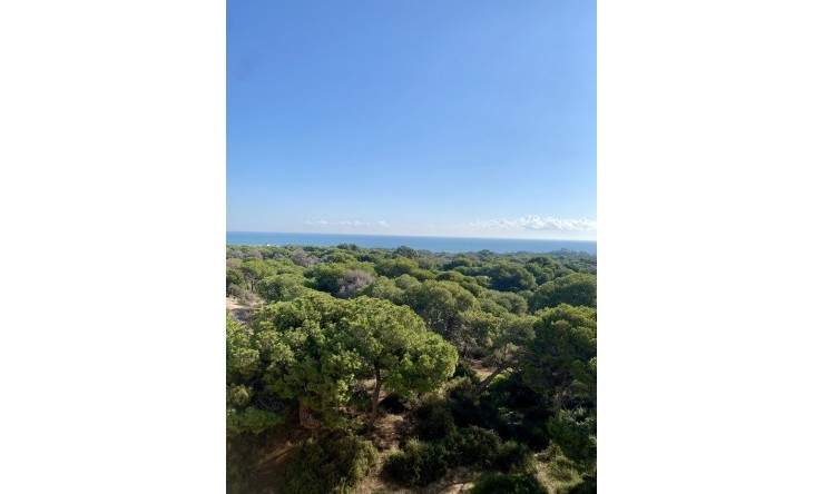 Nowe budownictwo - Apartament -
Guardamar del Segura