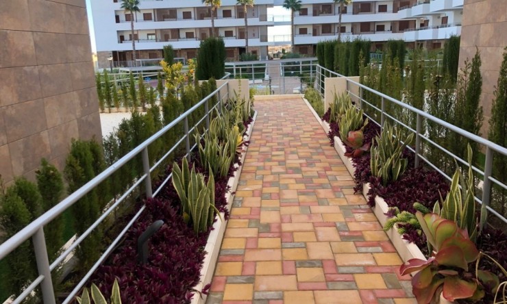 Resale - Apartment -
Lomas de Cabo Roig