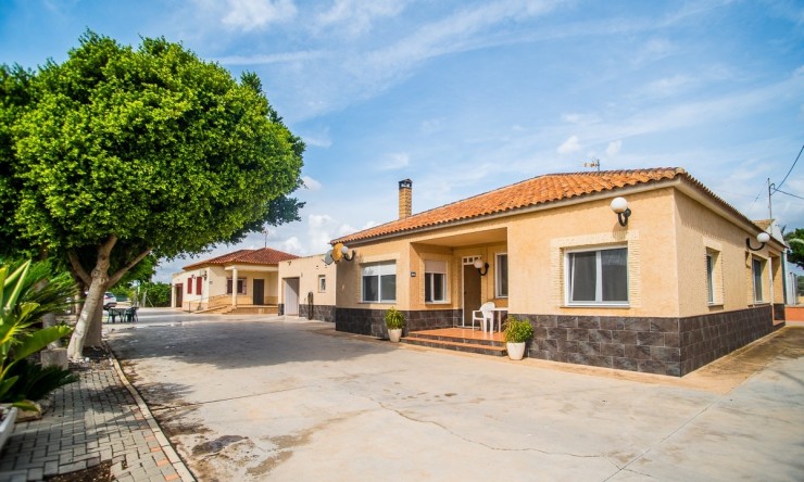Reventa - Villa -
ORIHUELA - La Matanza