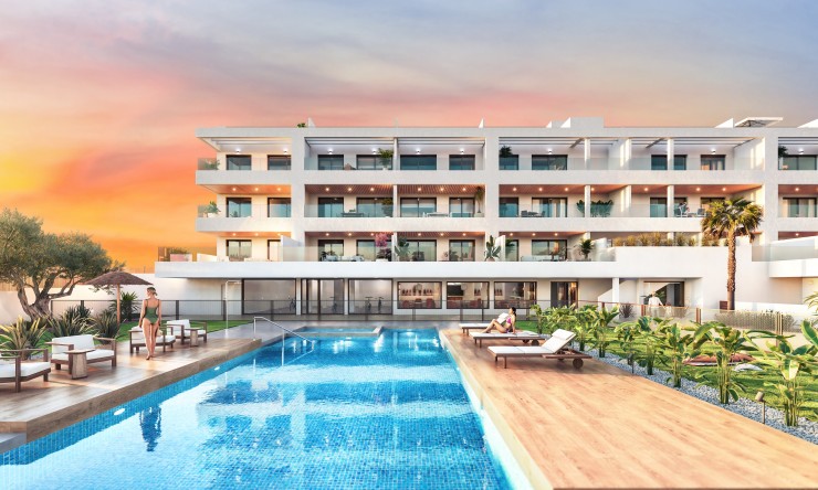 Neue Gebäude -  -
Torrevieja