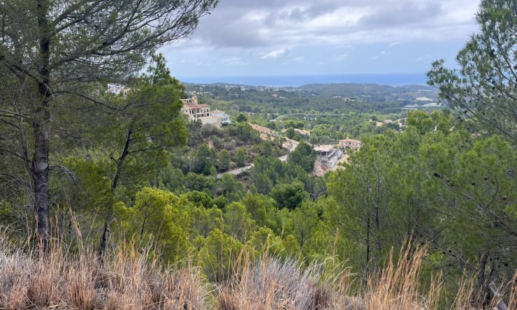 Wiederverkauf - Grundstücke -
Altea