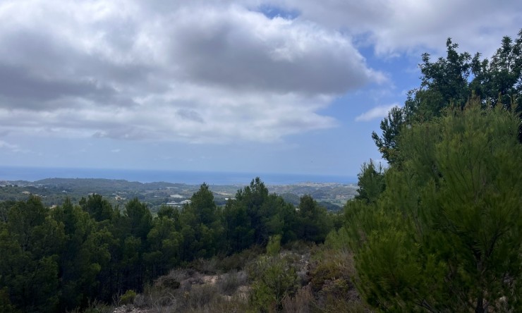 Wiederverkauf - Grundstücke -
Altea