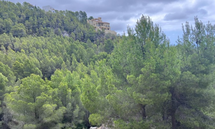 Wiederverkauf - Grundstücke -
Altea