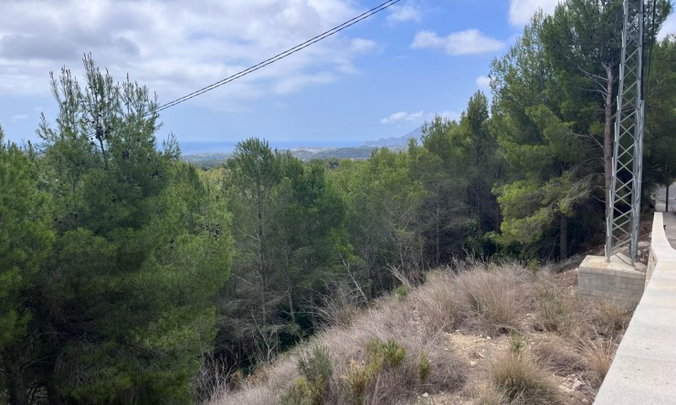 Wiederverkauf - Grundstücke -
Altea