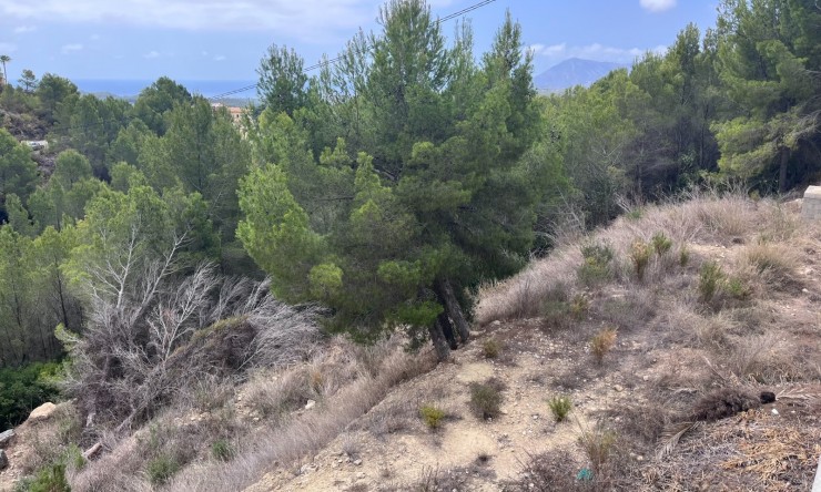 Wiederverkauf - Grundstücke -
Altea
