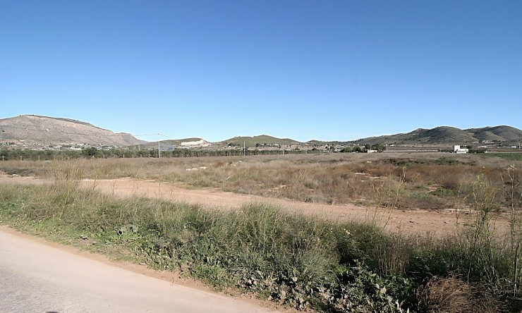 Wiederverkauf - Grundstücke -
Hondón de las Nieves