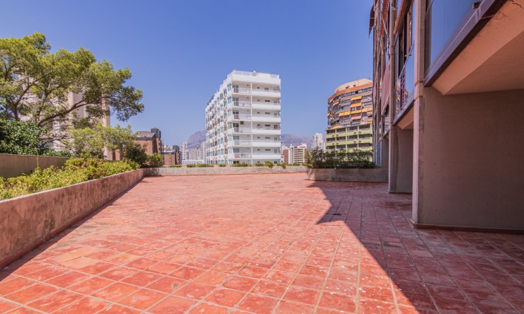 Resale - Apartment -
Benidorm