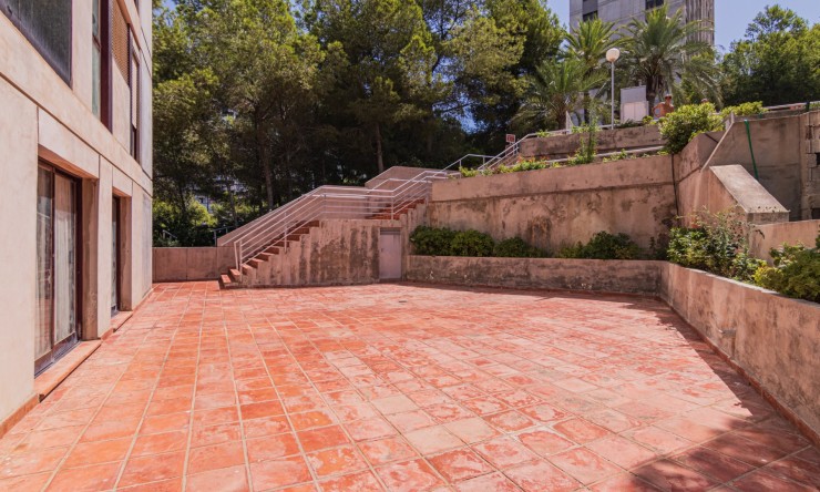 Resale - Apartment -
Benidorm