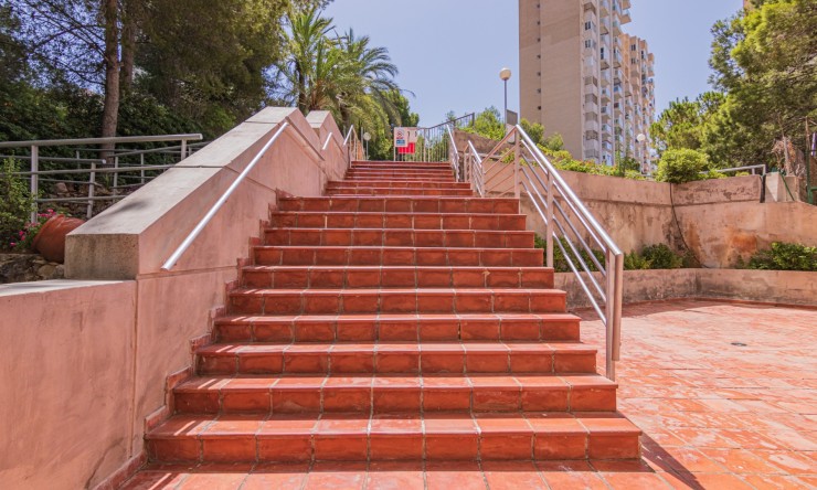 Resale - Apartment -
Benidorm