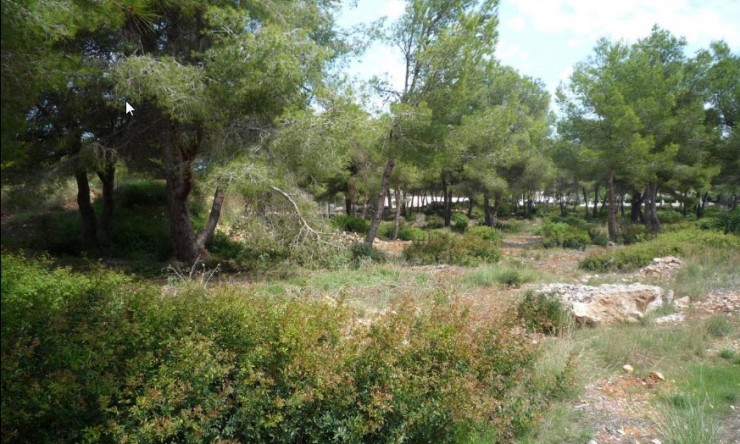 Herverkoop - Plot -
Jávea - La Cala