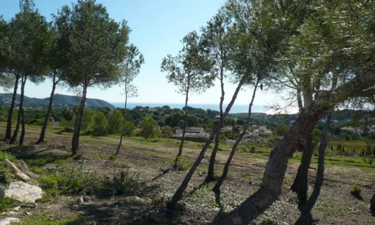 Resale - Plot -
Moraira - Sabatera