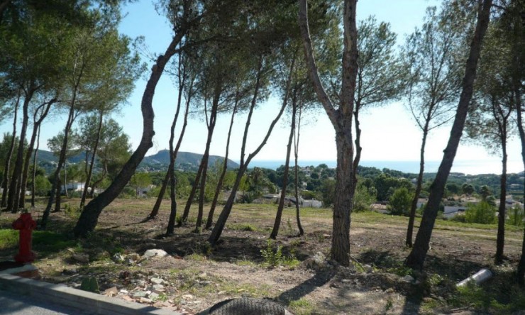 Resale - Plot -
Moraira - Sabatera