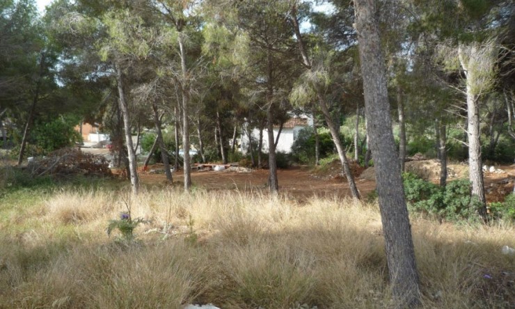 Herverkoop - Plot -
Moraira - Pinar de l’Advocat