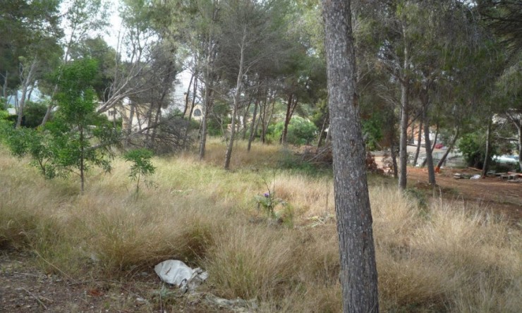 Herverkoop - Plot -
Moraira - Pinar de l’Advocat