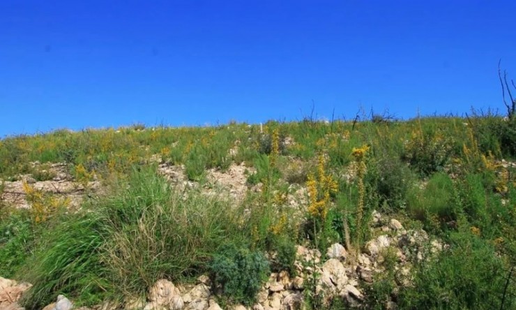 Herverkoop -  -
Jávea - Adsubia