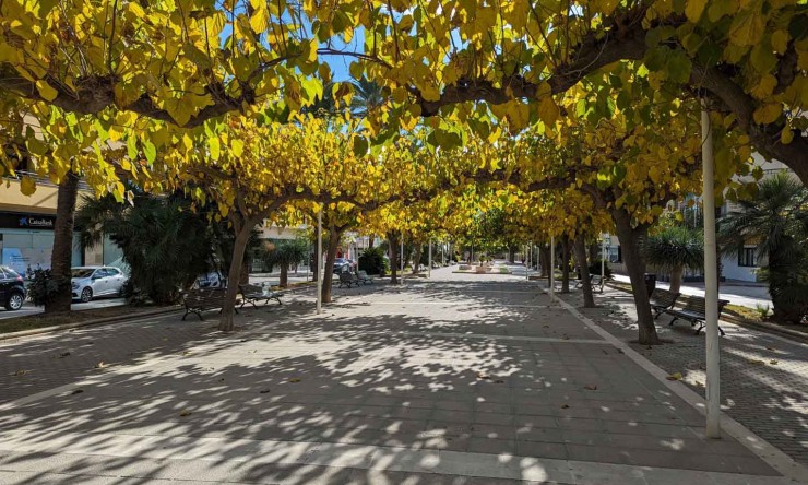 Revente - Tracé -
Moraira - El Portet