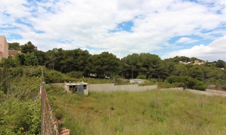 Herverkoop - Plot -
Jávea - Pinosol