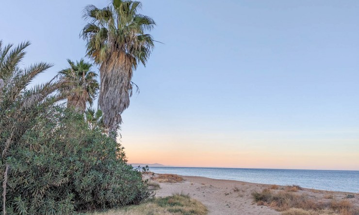 Neue Gebäude - Wohnung -
Denia - El Palmar