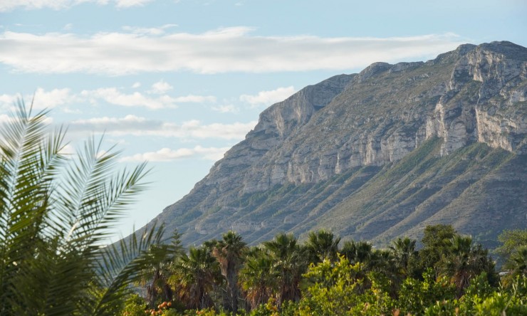 Neue Gebäude - Wohnung -
Denia - El Palmar