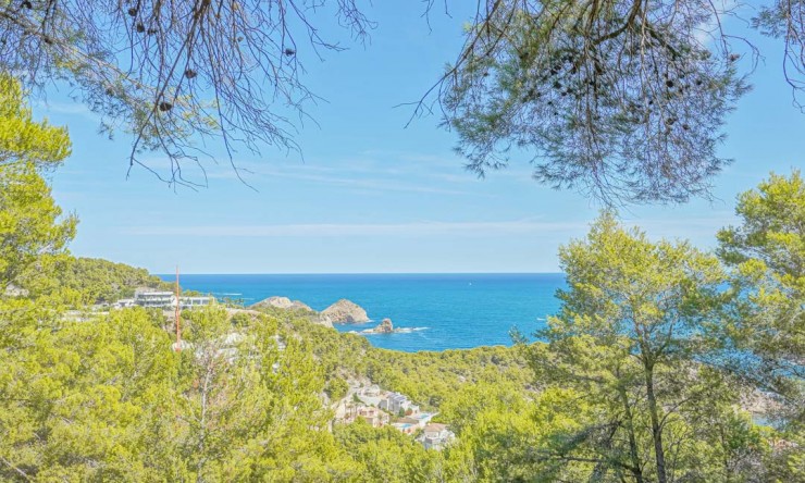 Reventa -  -
Jávea - Portichol