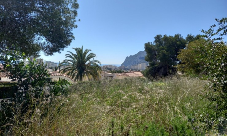 Resale - Plot -
Calpe - Ortenbach