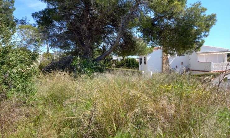 Resale - Plot -
Calpe - Ortenbach