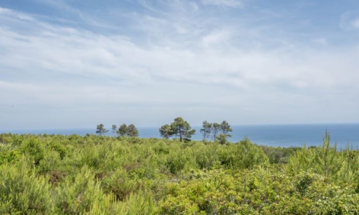 Herverkoop - Plot -
Jávea - Cabo de Sant Antonio