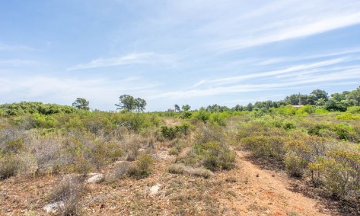 Resale - Ground -
Jávea - Cabo de Sant Antonio